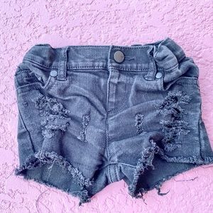12/18 month distressed black jean shorts
